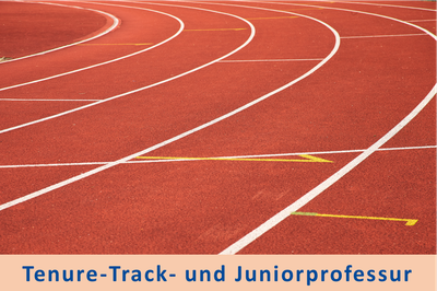 Tenure-Track- und Juniorprofessur